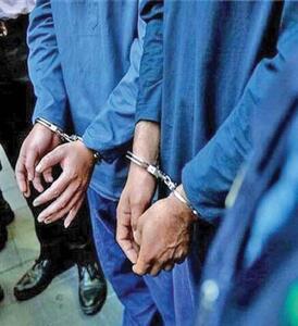 قمار مرگبار در شبکه هرمی