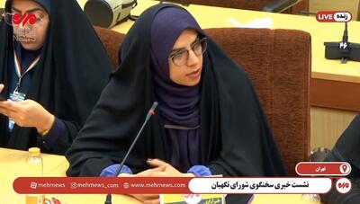 طحان نظیف: بررسی لوایح پالرمو و سی‌اف‌تی بدون مشورت با شورای نگهبان
