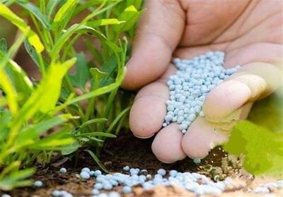 80 درصد کود شیمایی تولیدی باید در خراسان شمالی تخصیص یابد - تسنیم