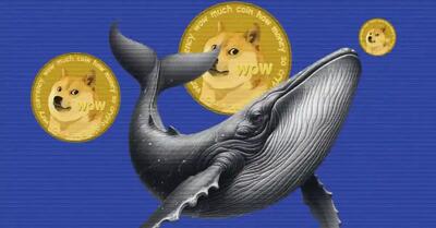 نهنگ‌های دوج کوین ۵۷۰ میلیون از این میم کوین را فروختند؛ قیمت همچنان در مسیر نزولی