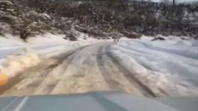 دستگیری عوامل آزار چند قلاده گرگ در شهرستان سوادکوه