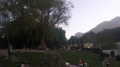 نگاهی به پارک جنگلی صفه اصفهان از لنز دوربین شهروندخبرنگار