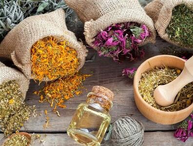 این گیاهان دارویی می‌توانند قاتل شما باشند!