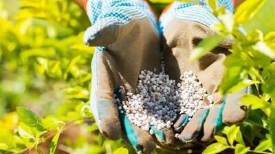 نیترات و سرطان، میراث شوم کودهای یارانه‌ای