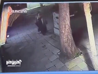 ویدئویی از سرقت وحشیانه موبایل از یک خانم