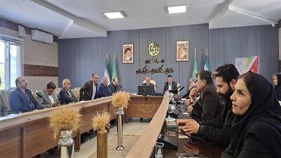 ۱۰ درصد گندم کشور در کردستان تولید می‌شود