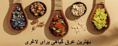 چه عرقی برای لاغری خوبه؟ بهترین عرق گیاهی برای لاغری شکم و پهلو