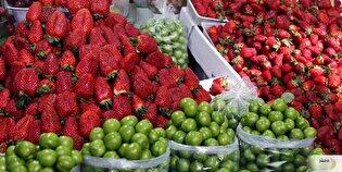 ببینید| ترفند عجیب یک میوه‌فروش برای کلاهبرداری! باور نمی‌کنید چی کار کرد!