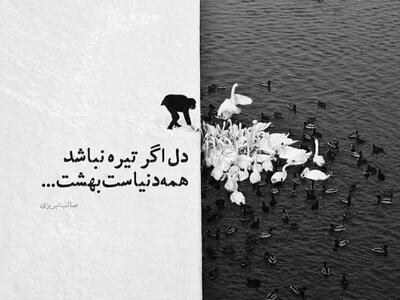 امروز با صائب تبریزی: دل اگر تیره نباشد همه دنیاست بهشت