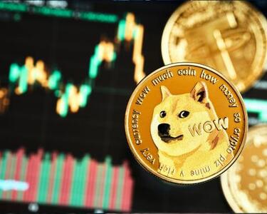 سقوط دوج‌کوین به پایین‌ترین سطح پنج ماه اخیر | سیتنا