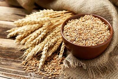 احتمال تغییر قیمت خرید تضمینی گندم - اکونیوز