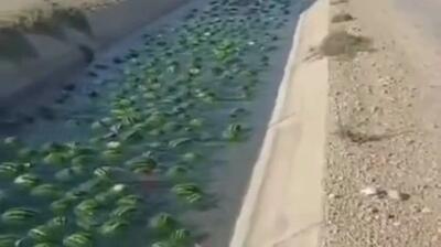 ببینید/ درست شدن رودخانه هندوانه پس از واژگونی کامیون