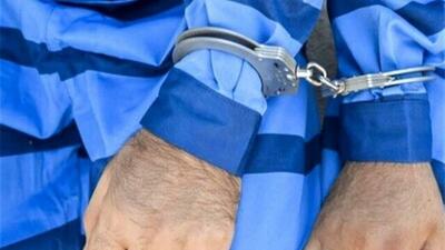 تشکیل باند خانوادگی برای سرقت