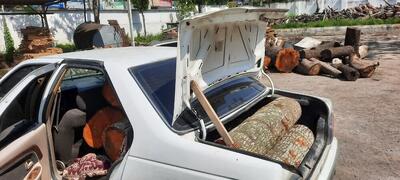پوشش خانوادگی، حربه جدید قاچاقچیان چوب