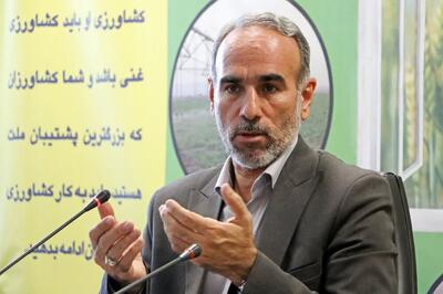 چرخه تولید گندم بدون دانش فنی با چالش مواجه می‌شود