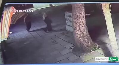 سرقت موبایل از یک زن در خیابان شریعتی کرمانشاه
