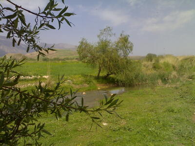 طبیعت چهارفصل استان ایلام