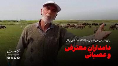 پتروشیمی غیرقانونی میانکاله؛ مشغول به کار دامداران؛ معترض و عصبانی