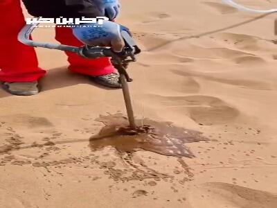 تبدیل بیابان به جنگل در چین