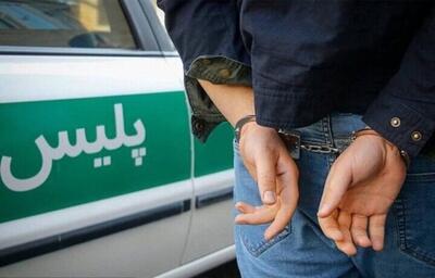 دستگیری ۲ سارق و کشف ۳ دستگاه خودرو سرقتی در ملایر
