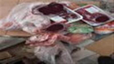 معدوم بیش از ۱۰۰ کیلوگرم گوشت و مرغ در بوئین زهرا