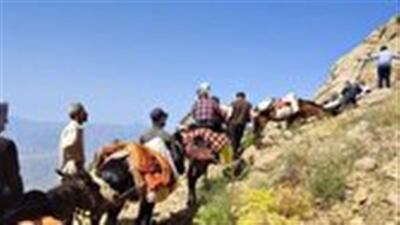 آغاز کوچ بهاره عشایر در استان قزوین