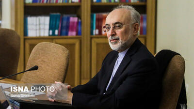 علی‌اکبر صالحی: سعدی نماینده خرد و سخن ایران است