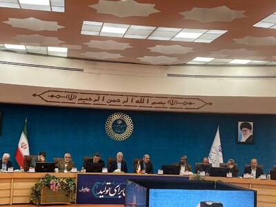مومنی: سازمان ملی مهاجرت می تواند ساختارهای پراکنده موجود را یکپارچه کند