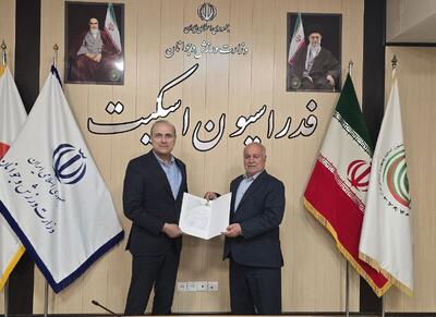 طباطبایی سرپرست انجمن اینلاین فری استایل شد