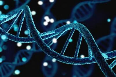 کابوس جرائم سایبری؛ هک اطلاعات DNA انسان | سیتنا