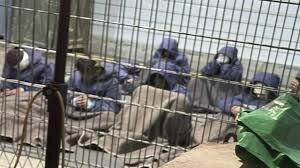 9900 اسیر فلسطینی در زندان‌های اسرائیل چگونه روزگار می گذرانند؟ | ببینید