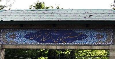 تردد دانشجویان کوی دانشگاه تهران تسهیل می‌شود/ ایجاد مسیر پیاده‌روی و دوچرخه‌سواری برای دانشجویان