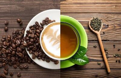 چای سبز برای لاغری بهتر است یا قهوه