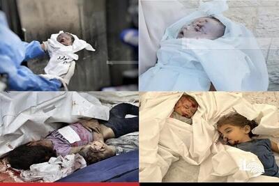 آمار جدید شهدای فلسطینی در غزه و سکوت مشکوک جامعه جهانی
