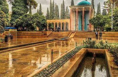سخن سعدی منادی نزدیکی جان‌های امیدوار و باورمند به انسانیت و صلح است