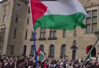 فیلم/ همبستگی هلندی‌ها با فلسطین و غزه