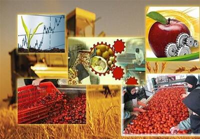 اشتغال بیش از ۵۷۰۰ نفر در واحدهای صنایع تبدیلی و غذایی آذربایجان غربی