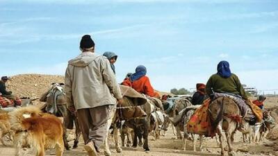 کوچ ۵ هزار خانوار عشایری خراسان جنوبی