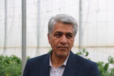 ۳۲ هزار میلیارد ریال در کشاورزی استان سمنان سرمایه گذاری شد