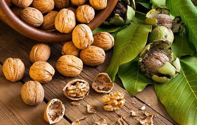 آیا امگا ۳ گردو بیشتر از ماهی است؟ + فیلم - سبک ایده آل