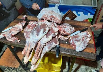 وضعیت نامطلوب کرمانشاه در بیماری‌ مشترک بین انسان و دام - تسنیم