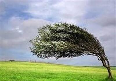وزش تندباد و رعد و برق پراکنده در راه یزد - تسنیم