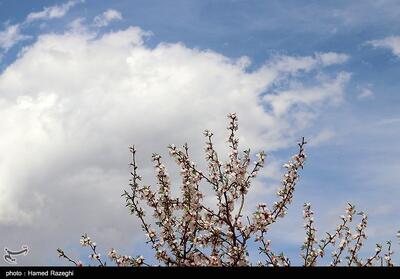 طبیعت بهاری ابهر - زنجان- عکس استانها تسنیم | Tasnim
