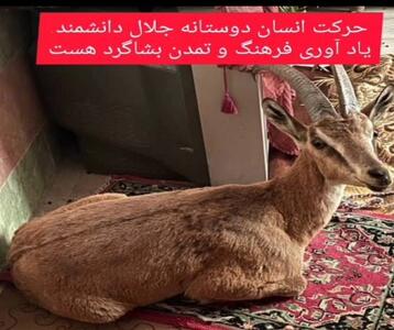 نجات بز کوهی در بشاگرد + فیلم