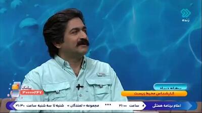 اهمیت مرجان‌ها در حفظ محیط زیست + فیلم