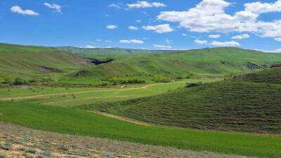 گردش یک روز بهاری در روستای گردشگری لاله گرمی + عکس