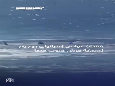 حمله کوسه به غواص صهیونیست