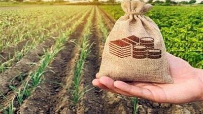 کشت هیدروپونیک در شرق اصفهان توسعه می‌یابد