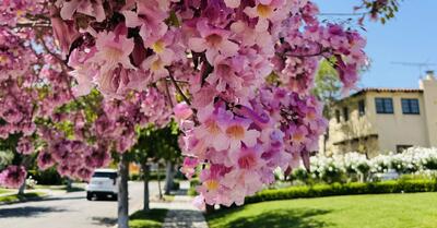 3 روش مثبت برای افزایش شادی شما