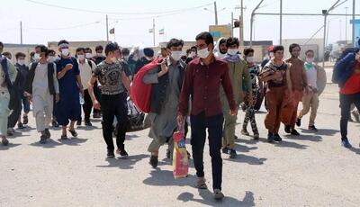 اما و اگرهای برخورد با اتباع غیرمجاز